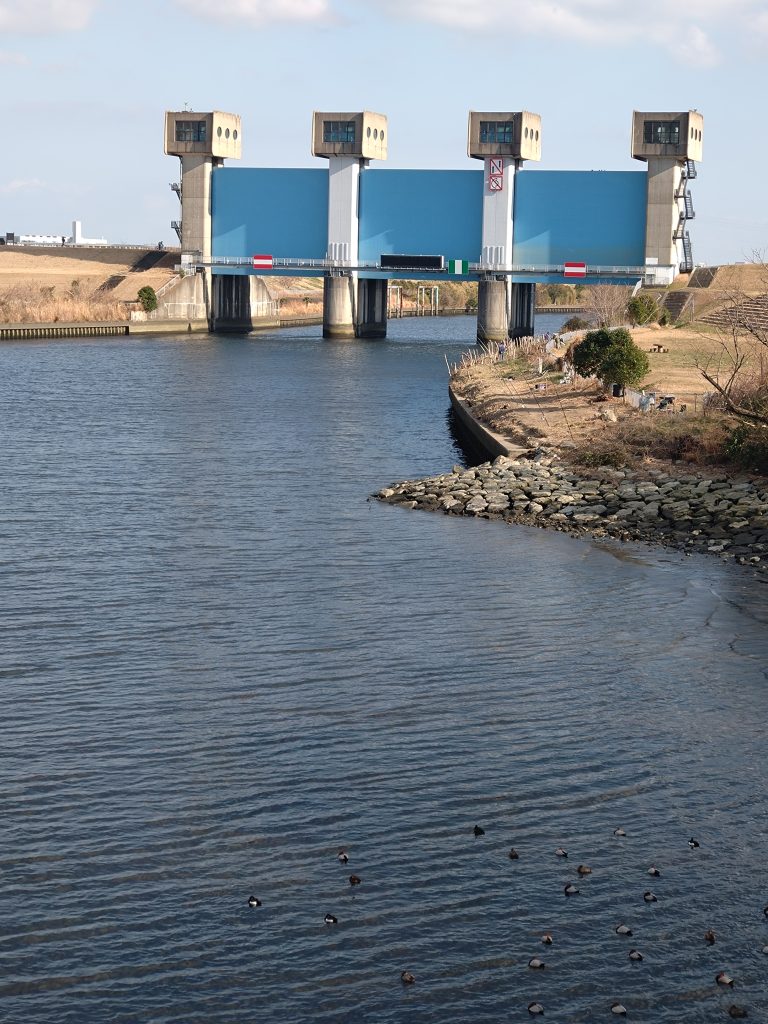 旧岩淵水門(赤門)側から岩淵水門(青門)を望む
